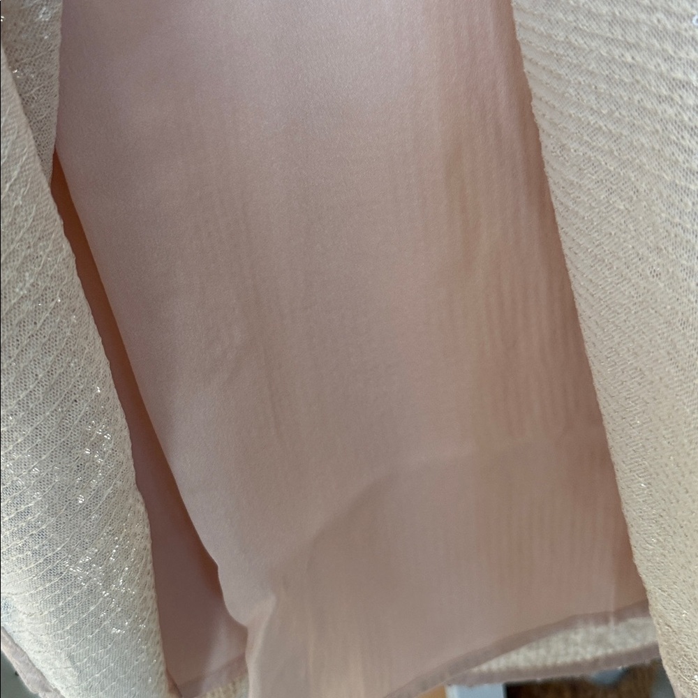 ANTHROPOLOGIE Sunday in Brooklyn Sparkling BLUSH A-Line Skirt - Picture 3 of 12